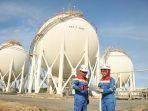 subholding-gas-pertamina-pgn-saka.jpg