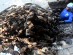 sudah-27-truk-kulit-kabel-ditemukan-di-gorong-gorong-ring-satu_20160310_154229.jpg