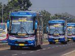 sugeng-rahayu-mercedes-benz-of-1623-air-suspension.jpg