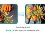 sulam-kepala-peniti-pada-kerajinan-tekstil.jpg