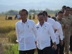 sulawesi-selatan-surplus-beras-jokowi-segera-distribusikan-ke-wilayah-lain.jpg