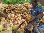 suman-45-petani-kelapa_20161116_193525.jpg