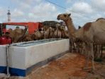 sumur-dalam-di-somalia_20180703_171426.jpg