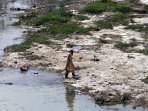 sungai-cikeas-kering_20150827_223953.jpg