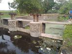 sungai-di-jombang-tercemar-klorin.jpg