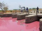 sungai-kamal-brebes-berwarna-pink_20151112_050401.jpg