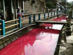 sungai-pagarsih-nih2_20170703_204905.jpg
