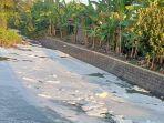 sungai-tercemar23344.jpg