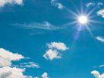 sunny-day-illustration.jpg