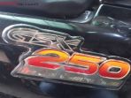 suzuki-thunder-250_20180717_194843.jpg