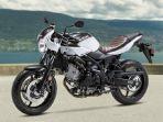 suzuki-vstrom.jpg