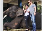 syahrini-bula-gajah_20150319_163303.jpg