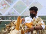 syl-smartfarming-bersama-bni.jpg