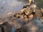 tabung-elpiji-meledak-dueeerrrr_20141126_132133.jpg
