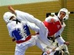 taekwondoilustrasi.jpg