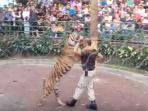 taklukan-harimau_20151219_132234.jpg