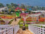 taman-bunga-celosia-bandungan-semarang.jpg