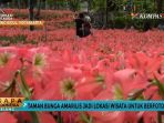 taman-bunga_20171017_185630.jpg