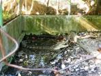 taman-camplong_20150603_193837.jpg