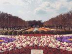 taman-harmoni-surabaya.jpg