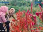 taman-hortikultura_20180127_152059.jpg