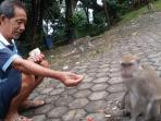 taman-hutan-kera-tirtosari-kelurahan-sumur-batu-kecamatan-telukbetung-utara-bandar-lampung_20150519_130530.jpg