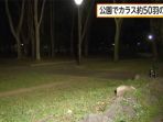 taman-jepang-nih2_20170327_183353.jpg
