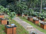 taman-kopi.jpg