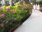 taman-lansia-surabaya_20150816_124149.jpg