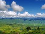 taman-leuser_20150626_130502.jpg