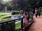taman-margasatwa-ragunan-jakarta_20141226_130631.jpg