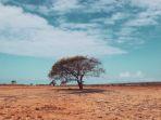taman-nasional-baluran-1.jpg