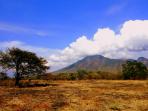taman-nasional-baluran_20160330_230541.jpg