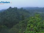 taman-nasional-bukit-tiga-puluh_20160128_233901.jpg