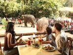 taman-safari-indonesia-bogor.jpg