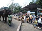 taman-safari-indonesia-ramai-wisatawan_20200823_135800.jpg