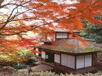 taman-sankeien-garden-di-yokohama.jpg