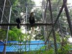 taman-satwa_20151228_183954.jpg