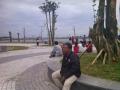 taman-waduk-pluitt.jpg