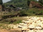 tambang-batu-kapur-karst-pangkalan_20170529_102936.jpg