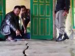 tanah-bergerak_20150218_192827.jpg