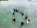 tanam-bibit-terumbu-karang_20170829_134257.jpg