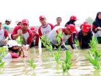 tanam-mangrove_20171112_092345.jpg