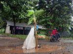 Warga di  Tuban Tanam Pohon Pisang di Jalan yang Rusak: Lubangnya Dalam