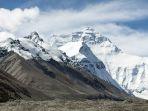 tanaman-fritillaria-delavayi-tumbuh-di-lereng-bukit-pegunungan-hengduan-china-dan-sebagian-tibet.jpg