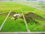 tanbo-art-atau-juga-yang-sering-disebut-dengan-rice-paddy-art.jpg