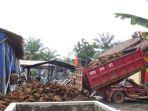 tandan-kelapa-sawit.jpg