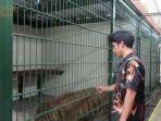 tangkapan-layar-dari-video-alshad-ahmad1.jpg