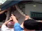 tangkapan-layar-video-saat-warga-mengamankan-ular-yang-masuk-ke-dalam-plafon-rumah.jpg