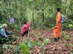 Warga Gunakan Drone Cari Pria yang Hilang di Kebun Sawit di Kotawaringin Barat